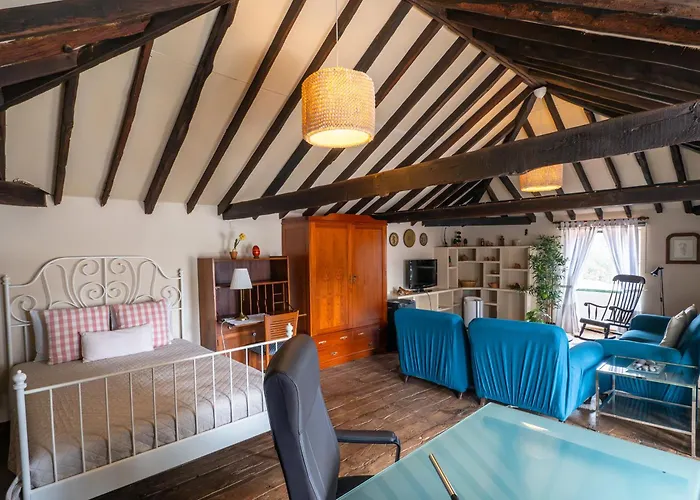 Donde Conchita, Buhardilla Con Bano Compartido, Cerca Del Aeropuerto Norte ホームステイ サン・クリストバル・デ・ラ・ラグーナ